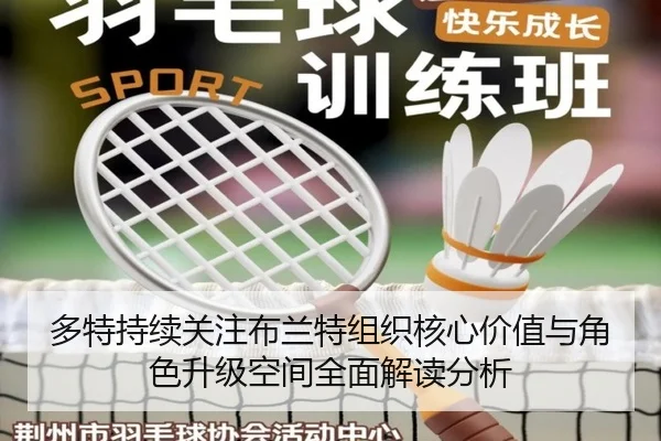 多特持续关注布兰特组织核心价值与角色升级空间全面解读分析